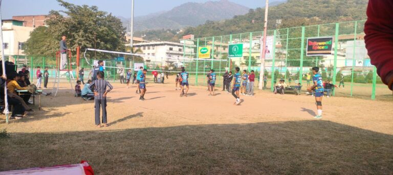 IMG_20241124_194537_568