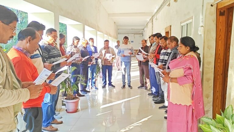 IMG_20241126_155238_780