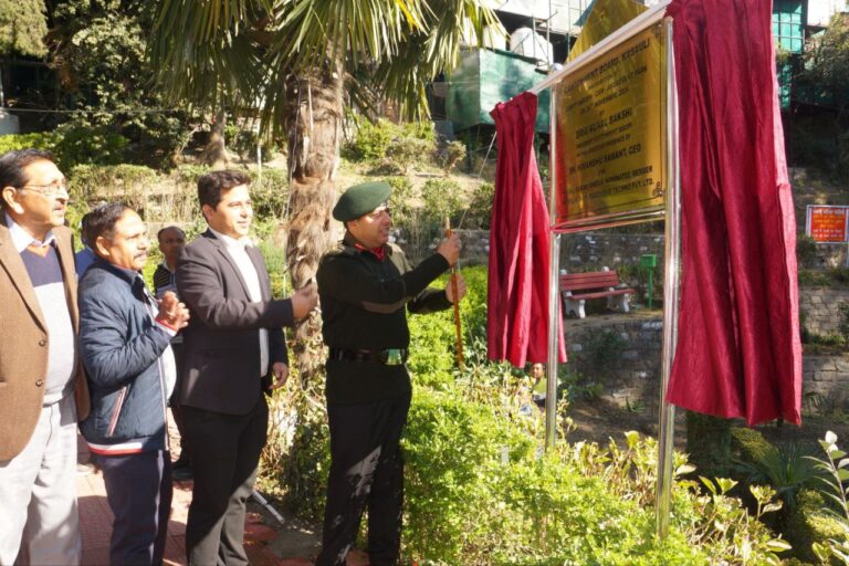 IMG_20241126_185824_151