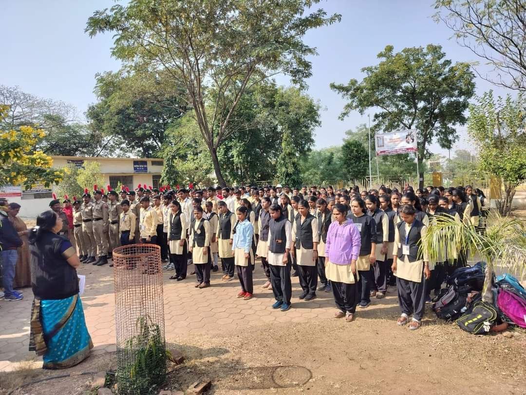 IMG_20241126_200630_334