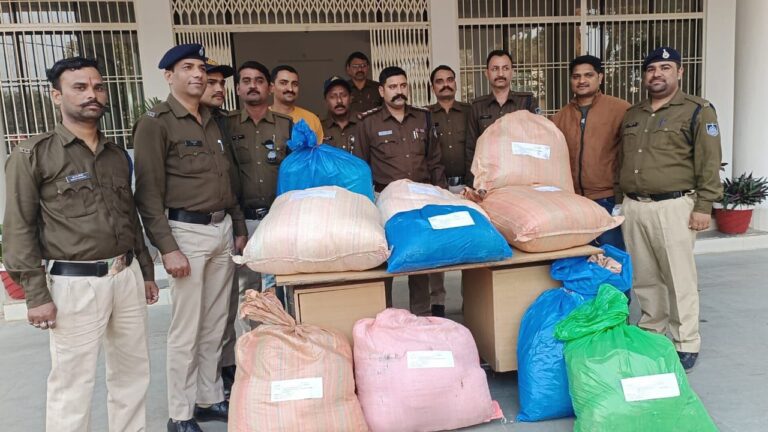 IMG_20241127_220729_017