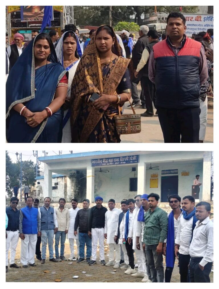 IMG_20241127_221353_880