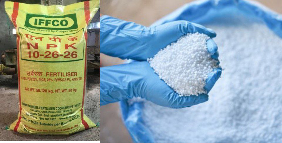 IMG_20241127_222205_559