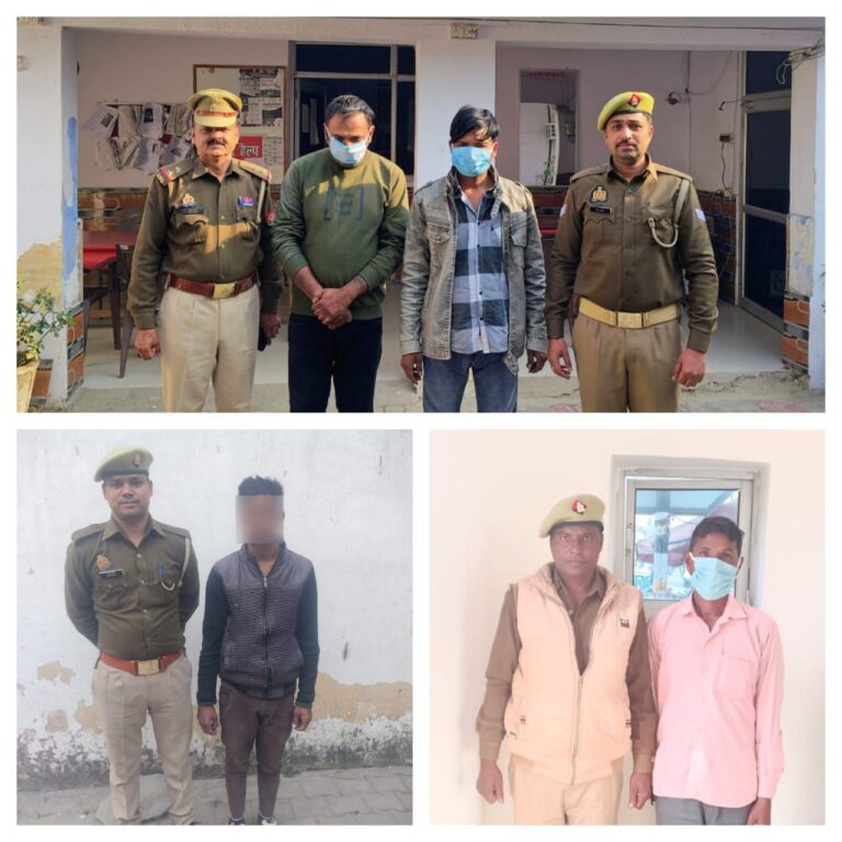 IMG_20241128_105550_549