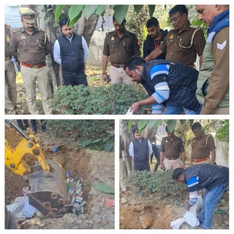 IMG_20241128_190351_013