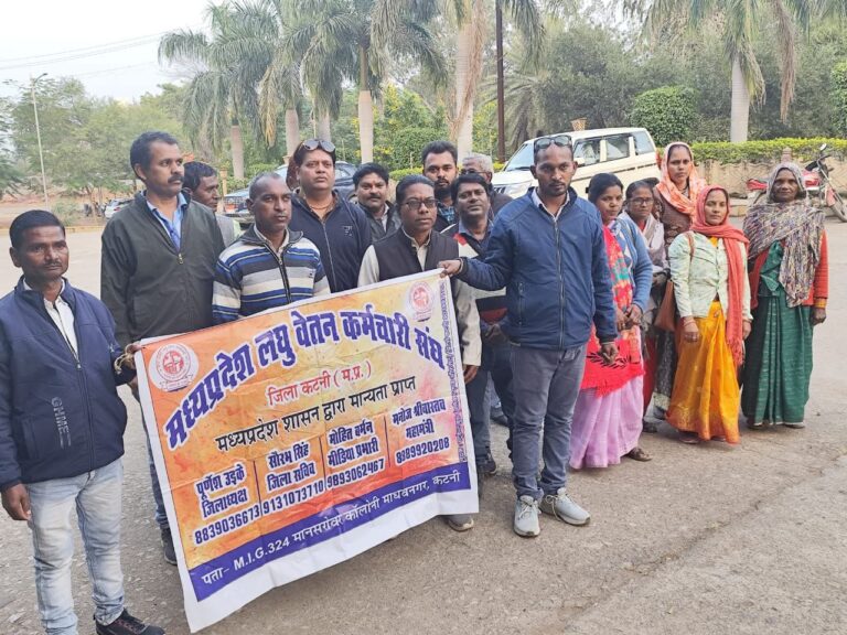 IMG_20241128_191358_865