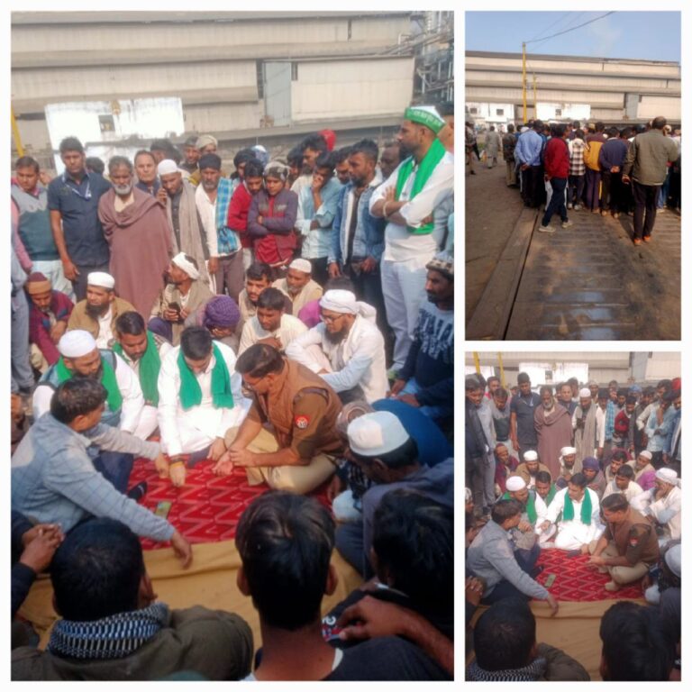 IMG_20241128_192156_915