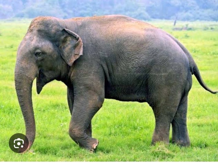 IMG_20241201_172848_300