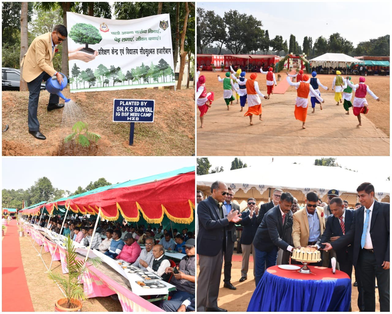 IMG_20241201_172854_373