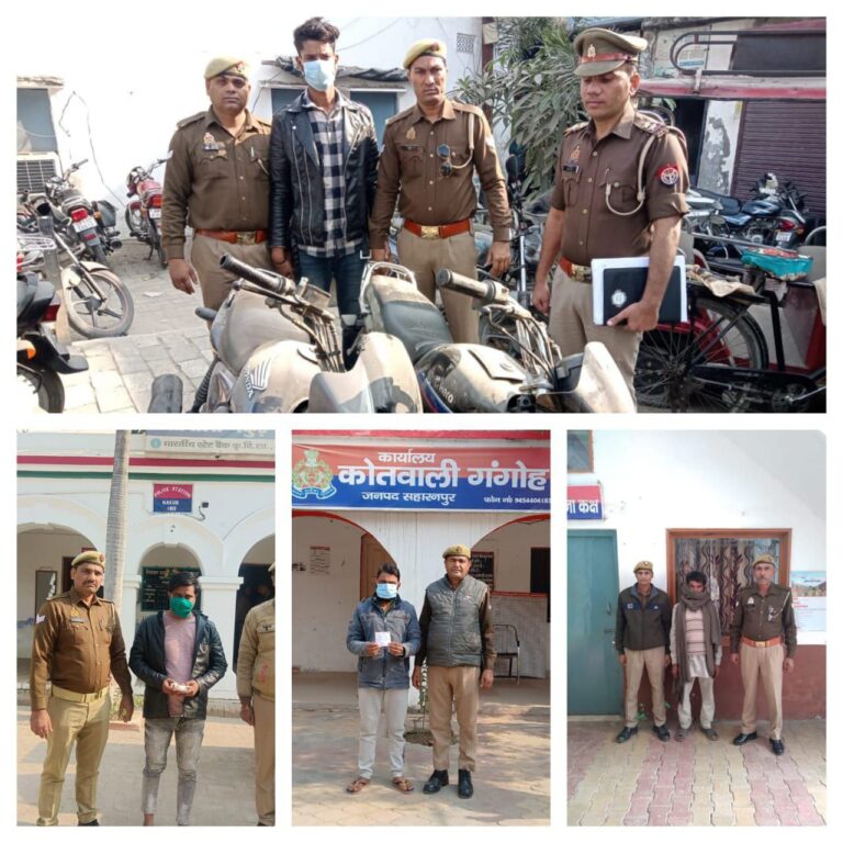 IMG_20241201_175256_146