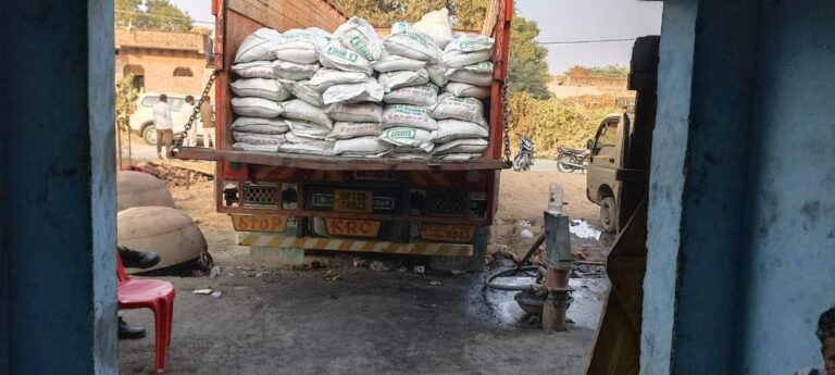 IMG_20241202_145039_939