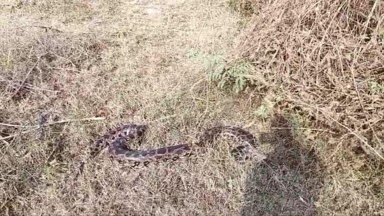 IMG_20241202_145212_082