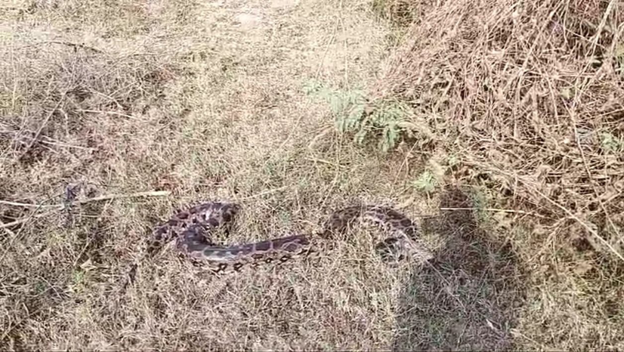 IMG_20241202_145212_082