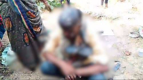 IMG_20241202_165325_737