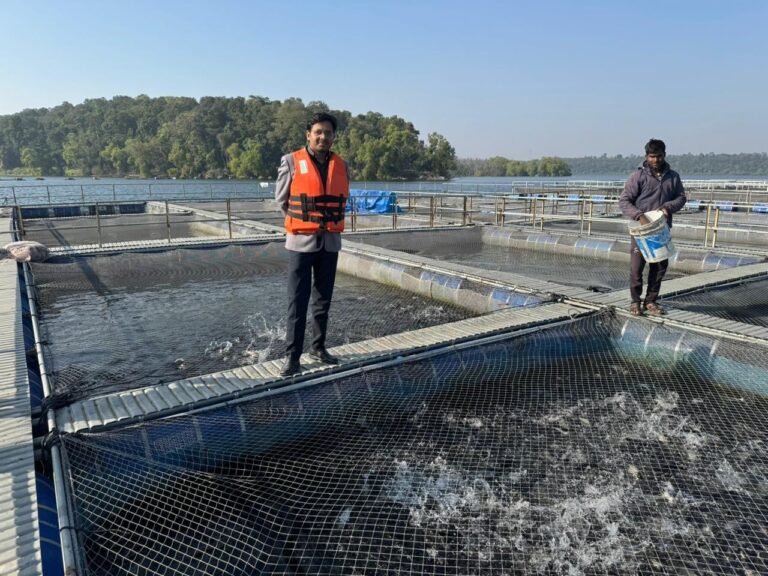 IMG_20241204_213236_775