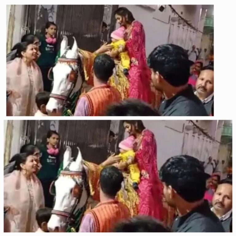 IMG_20241205_081305_936