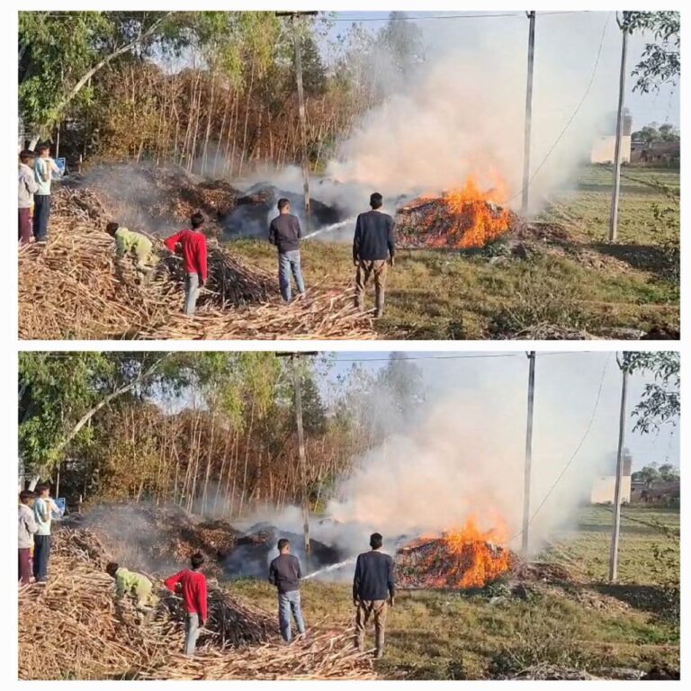 IMG_20241205_081314_714