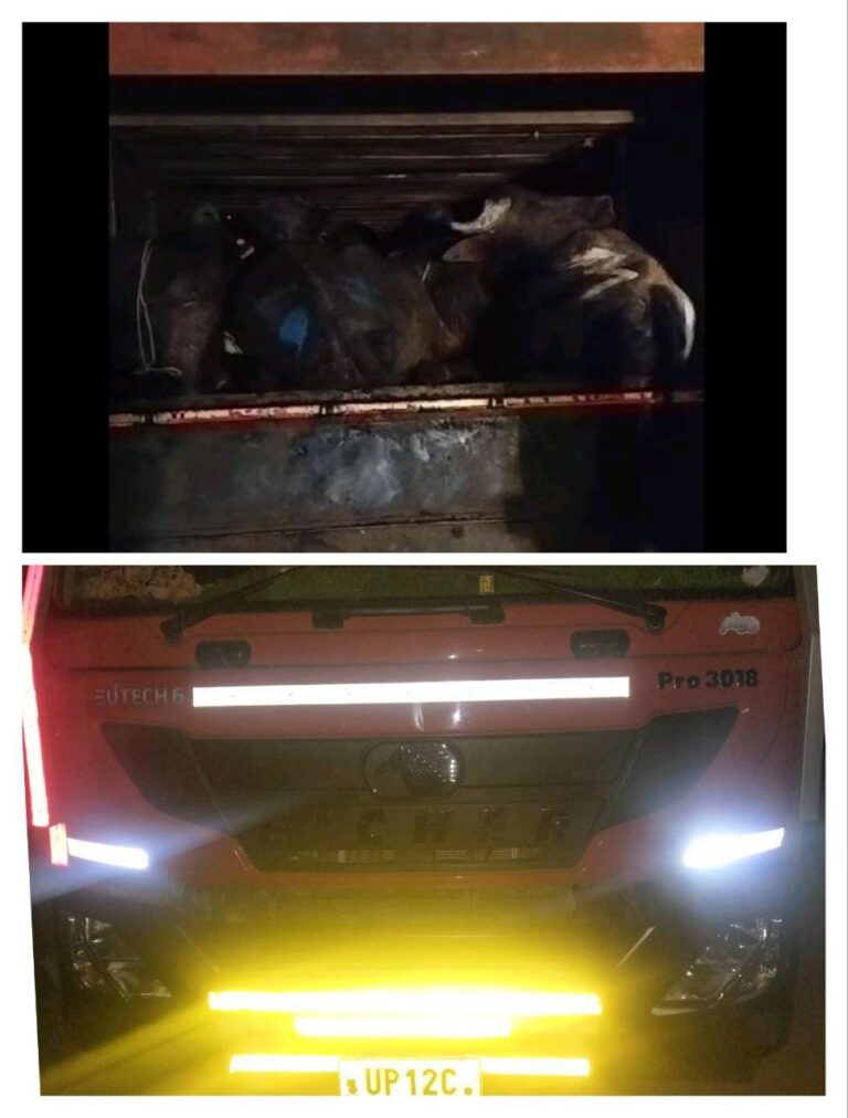 IMG_20241205_203612_345