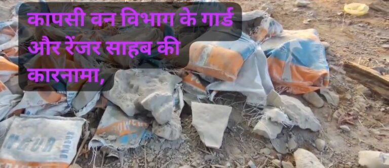 IMG_20241206_120533_847