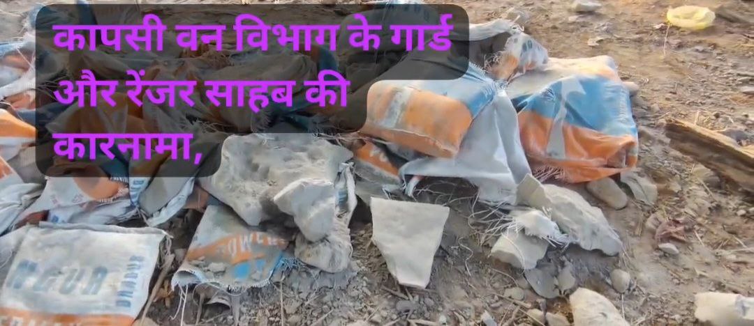 IMG_20241206_120533_847