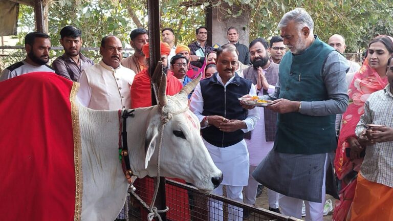 IMG_20241207_121948_779