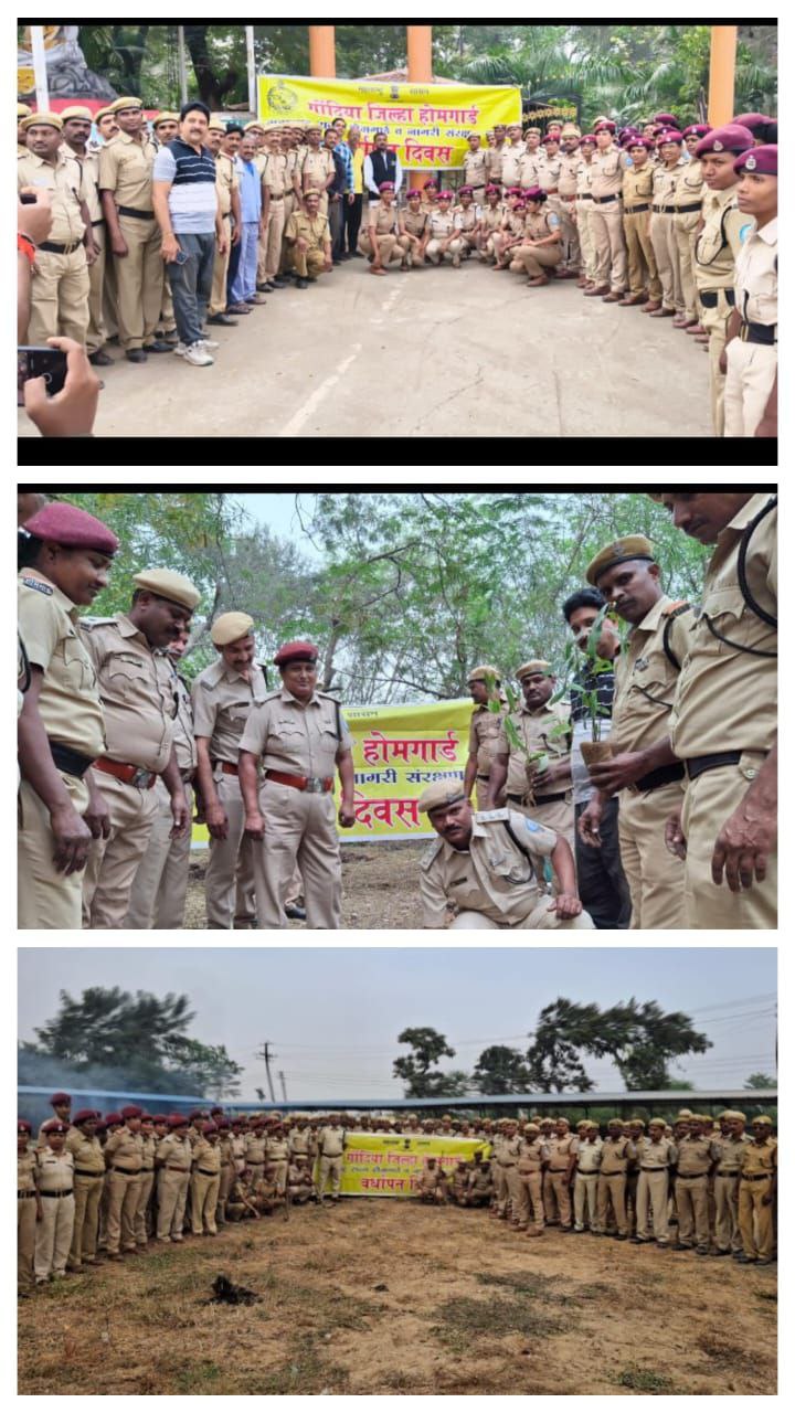 IMG_20241208_184534_443