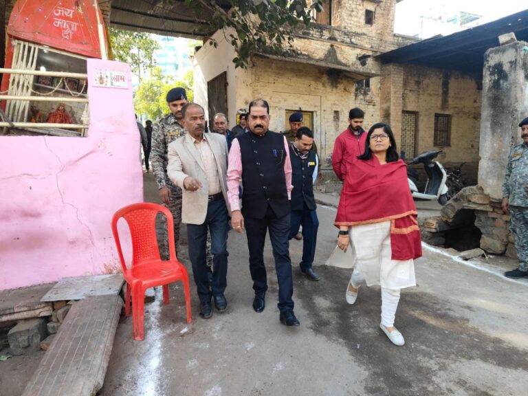 IMG_20241209_133413_972