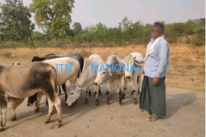 IMG_20241210_082212_556