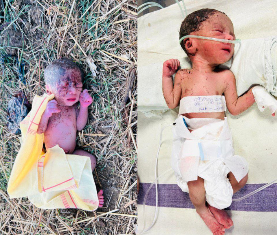 IMG_20241210_194925_311