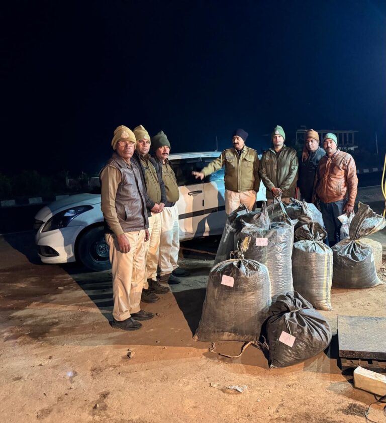 IMG_20241212_175704_677