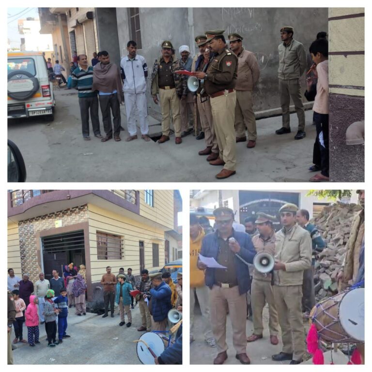 IMG_20241212_192539_998