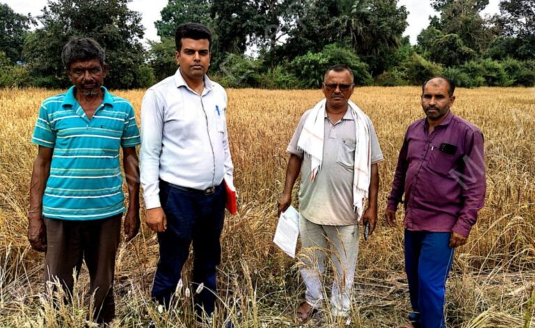 IMG_20241213_163151_432