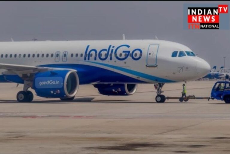 IMG_20241214_133555_319