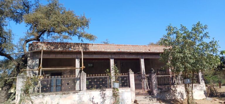 IMG_20241214_133953_856