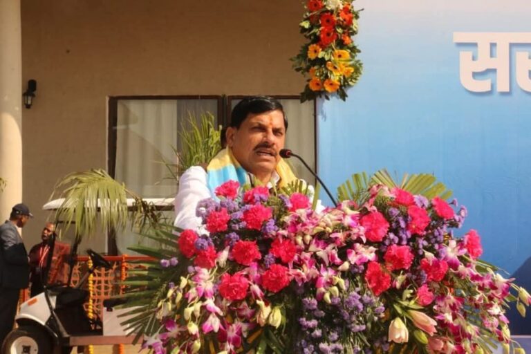 IMG_20241214_175035_978