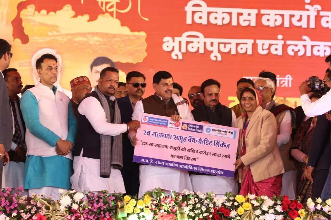 IMG_20241214_175044_475