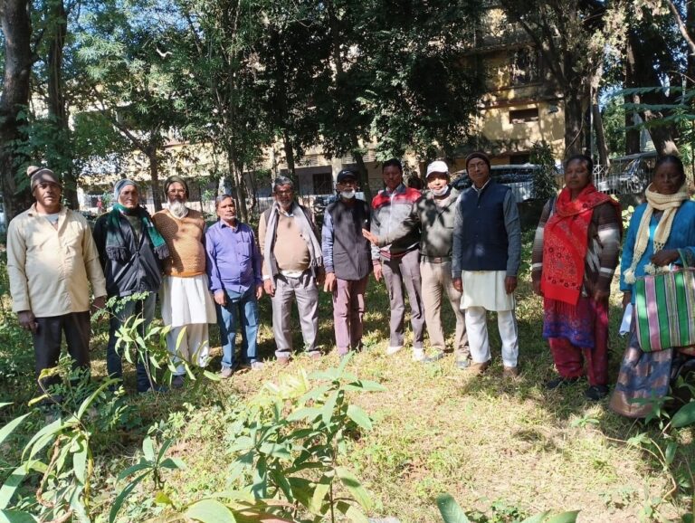 IMG_20241214_180128_862