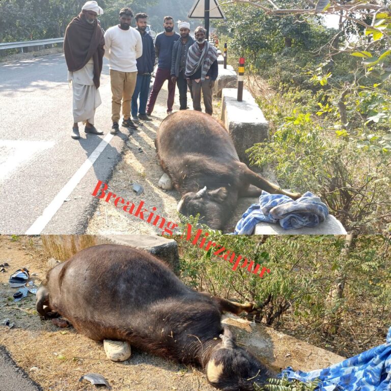 IMG_20241215_160321_011