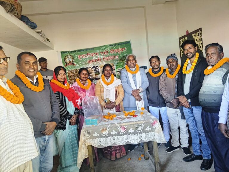 IMG_20241215_183542_562