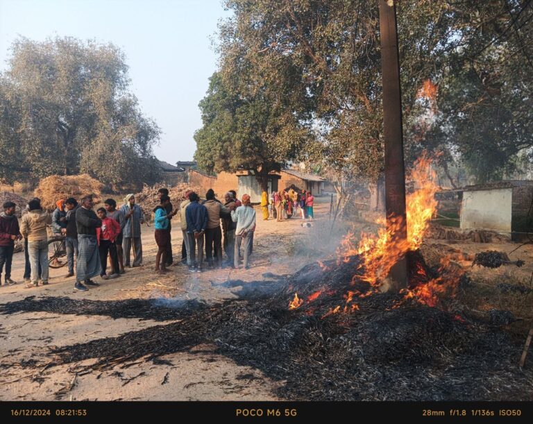 IMG_20241217_084952_295