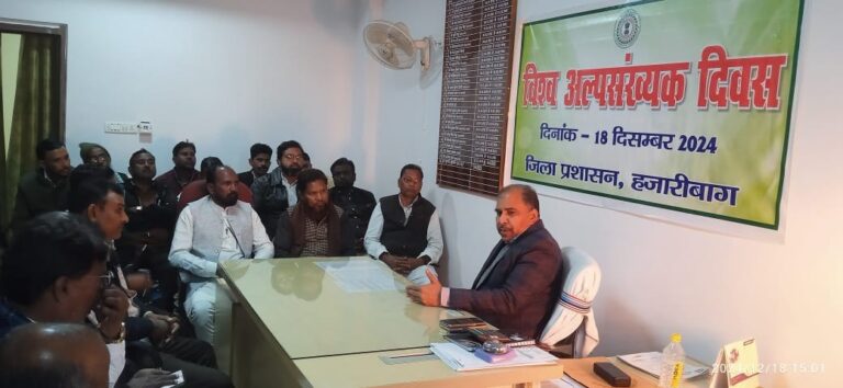 IMG_20241218_202645_239