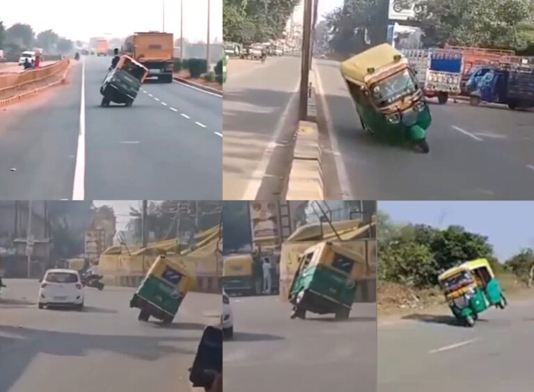 IMG_20241219_113101_387