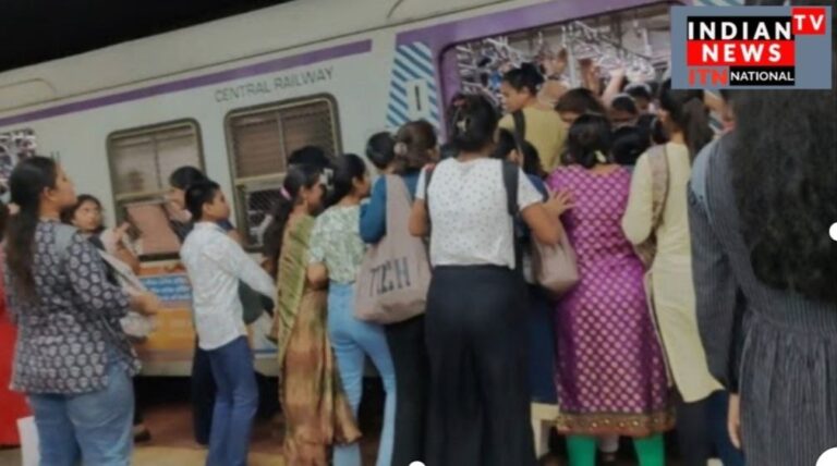 IMG_20241219_113253_423