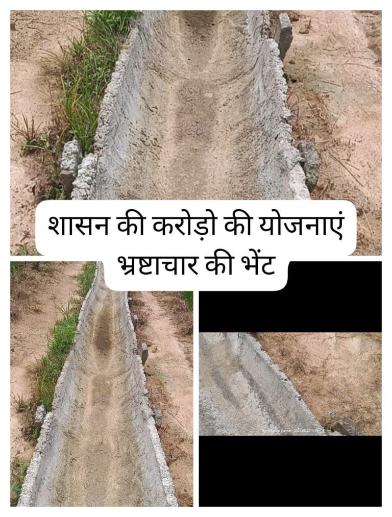 IMG_20241219_153932_721