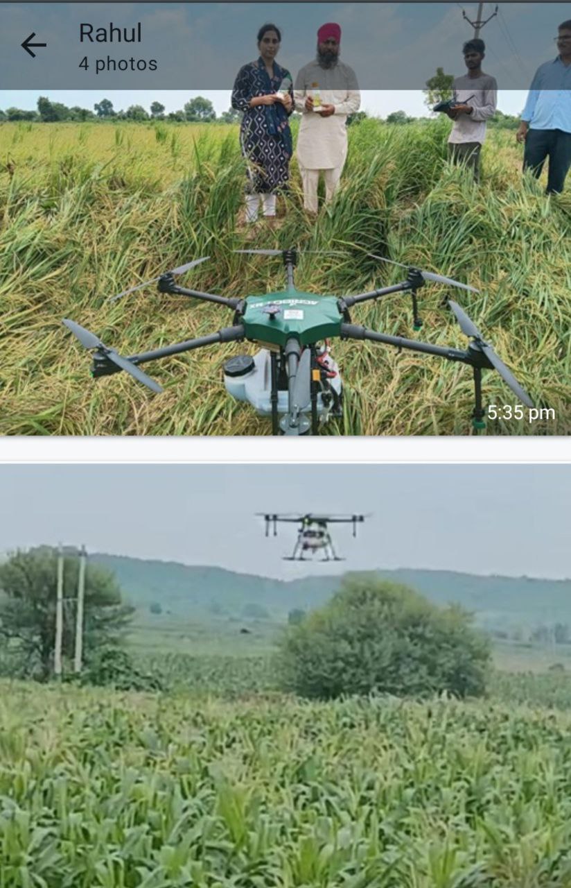 IMG_20241219_183743_714