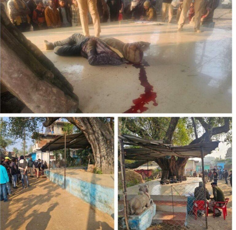 IMG_20241220_130029_738