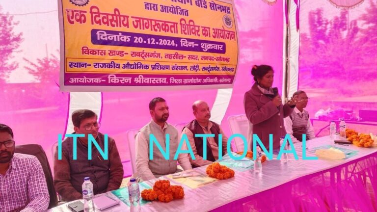 IMG_20241220_173303_453