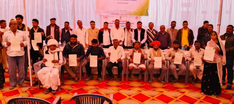 IMG_20241221_175004_489