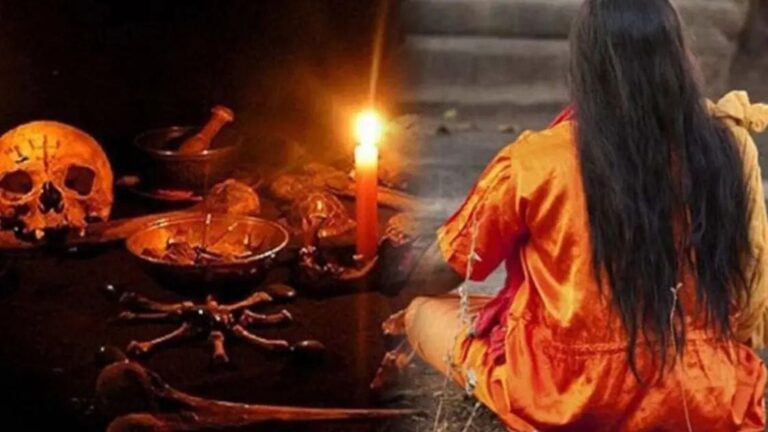 IMG_20241221_175432_666