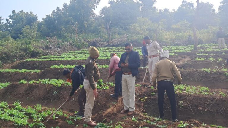 IMG_20241221_180812_967